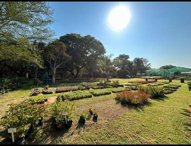 39,600M² FARM FOR SALE IN ZANDFONTEIN AH
